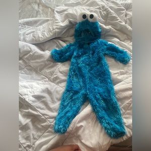 Cute Cookie Monster costume